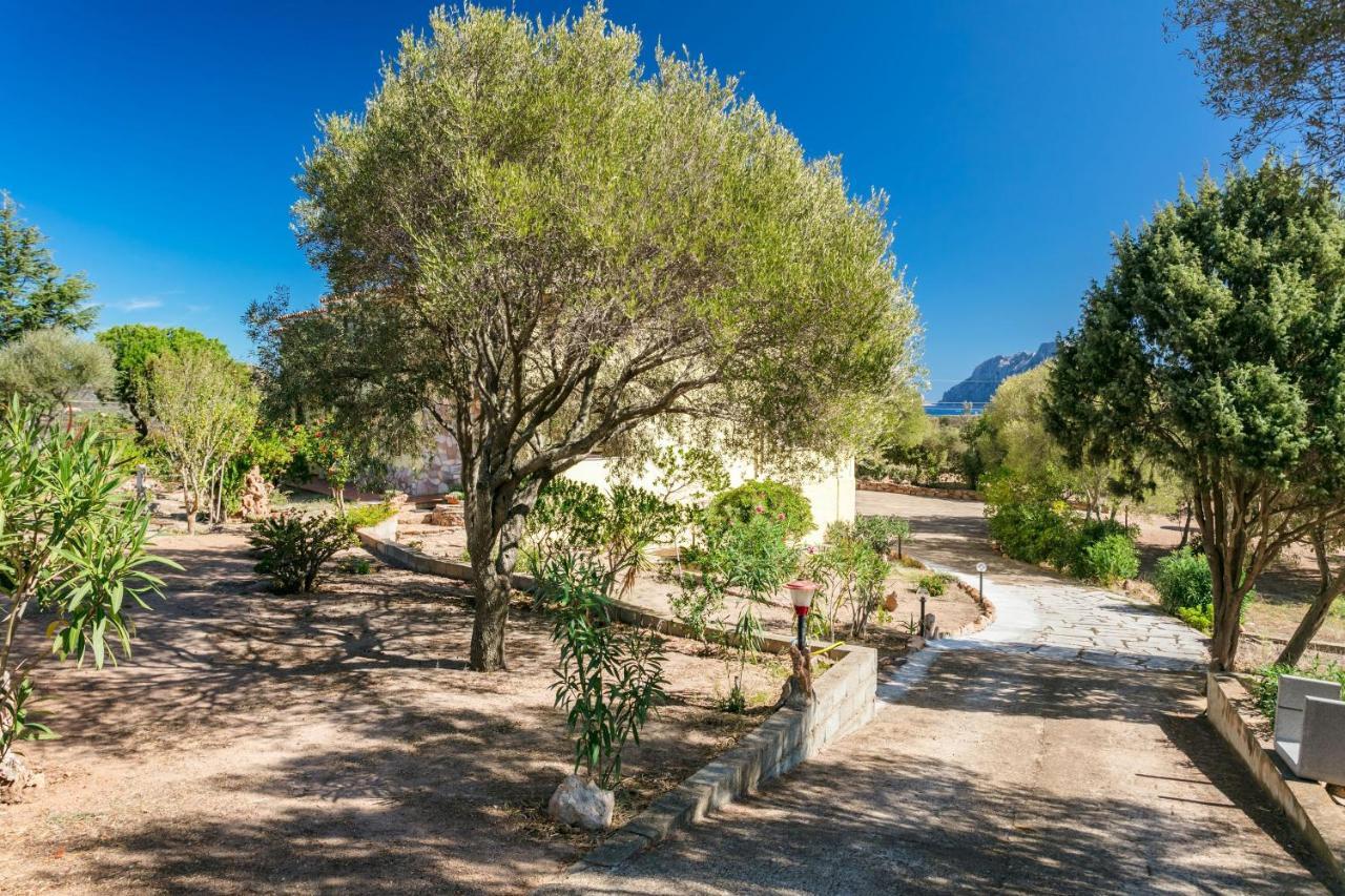 Casa Relax Apartment Porto San Paolo  Luaran gambar